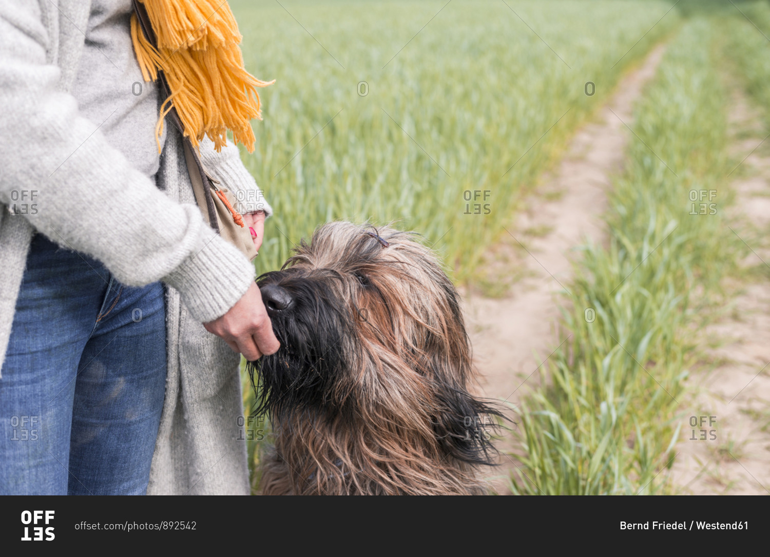 Woman feeding dog at a field