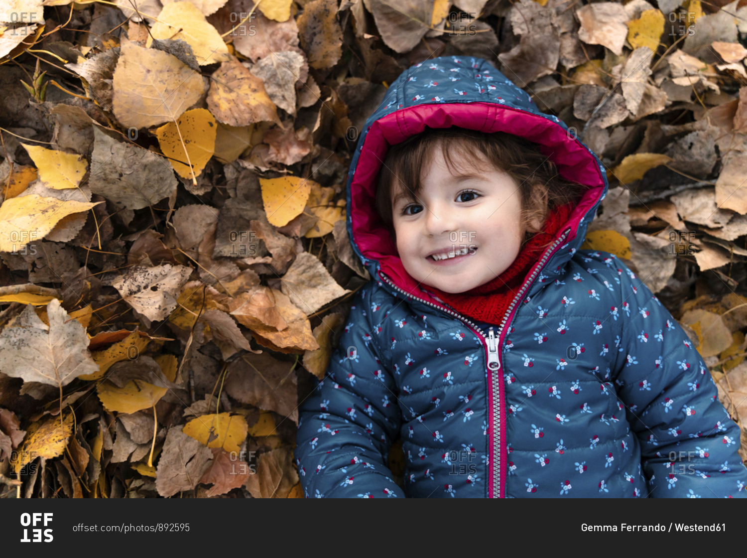 Portrait of happy little girl lying on autumn leaves