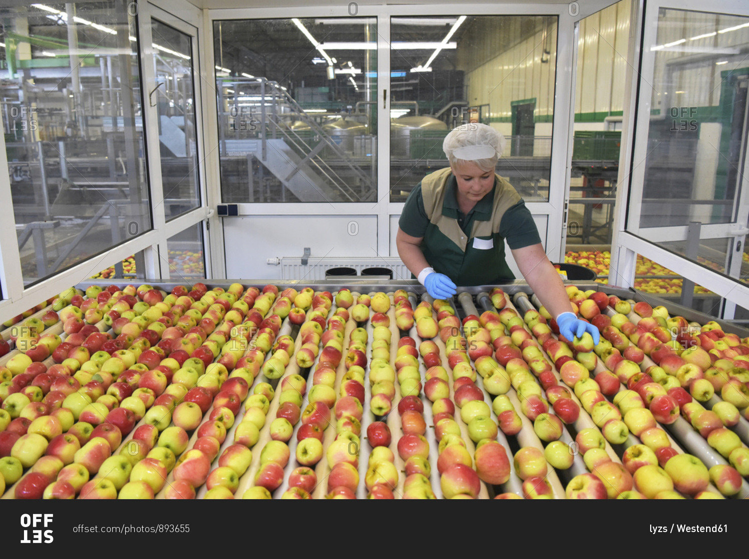 Female worker checking apples on conveyor belt in apple-juice factory