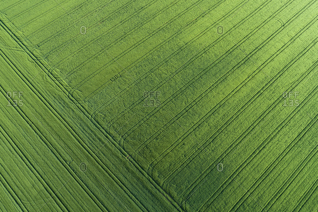 Germany- Bavaria- Aerial view of green countryside field covered in pattern of tire tracks