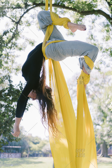 Aerial Silks Performer Hanging On A Tree