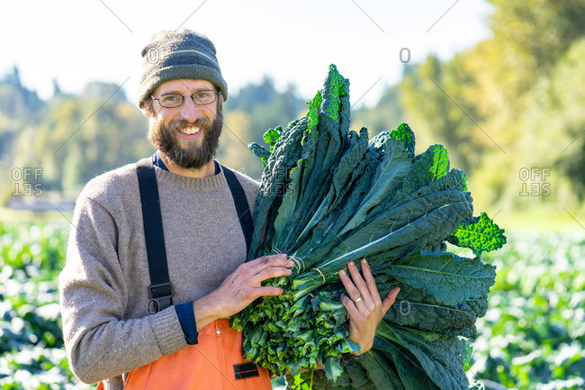 Proud farmer with a huge bunch of organic kale fall day harvest