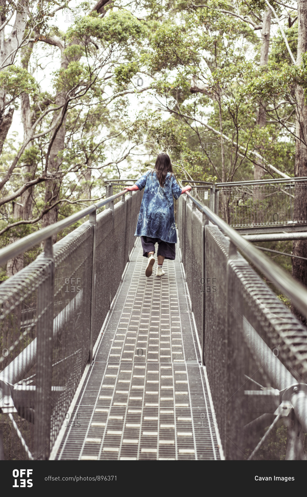 woman in big blue dress climbs along tree top walk in remote australia