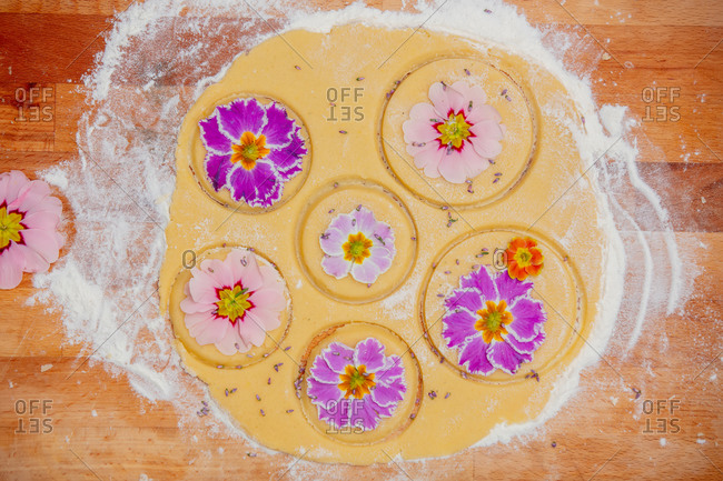 Dough with petals of a primula flower for a cookies