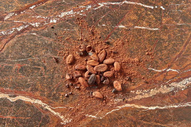 Freshly crushed natural organic cocoa beans with cocoa powder on a granite stone background