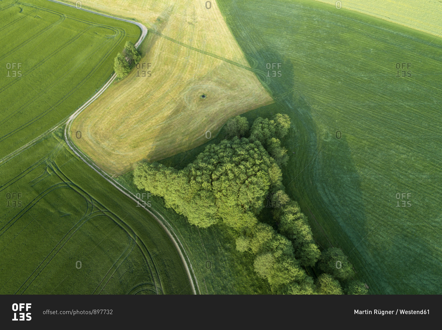 Germany- Thuringia- Aerial view of dirt road cutting through green countryside field