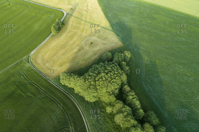 Germany- Thuringia- Aerial view of dirt road cutting through green countryside field
