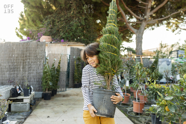 Portrait of boy carrying potted plant at plant nursery