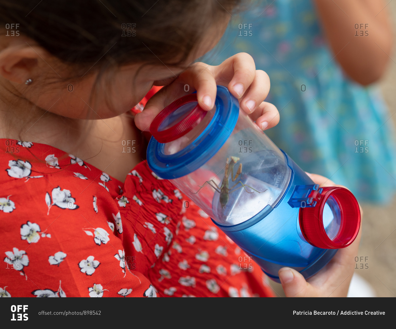 Little girl in red dress examining insect in jar on summer day in nature