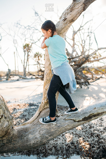 Young girl climbing on driftwood on a beach in Georgia, USA