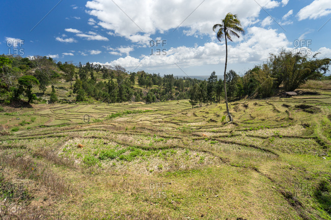 From above beautiful rural environment including terraced fields against solitary settlement on hill under blue sky with lush white clouds in summer in Southeast Asian