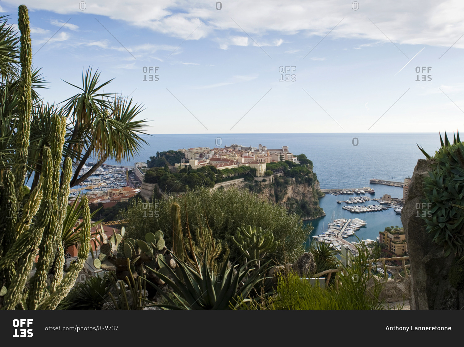 Panoramic view of Monaco Rocher with Grimaldi Palace from an
exotic garden, Monaco stock photo - OFFSET