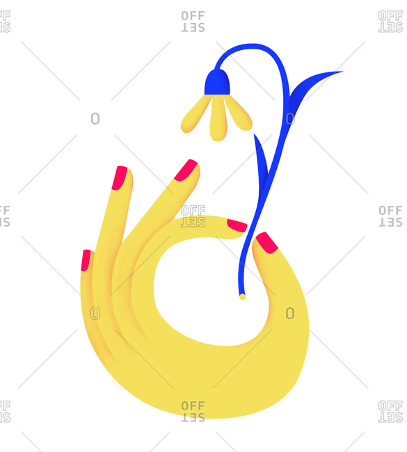 Woman's hand holding a blue and yellow flower