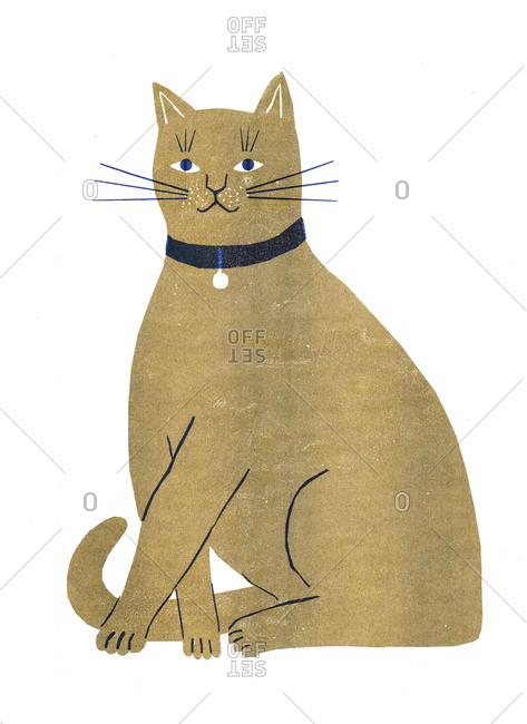 Cat Illustrator Stock Photos Offset