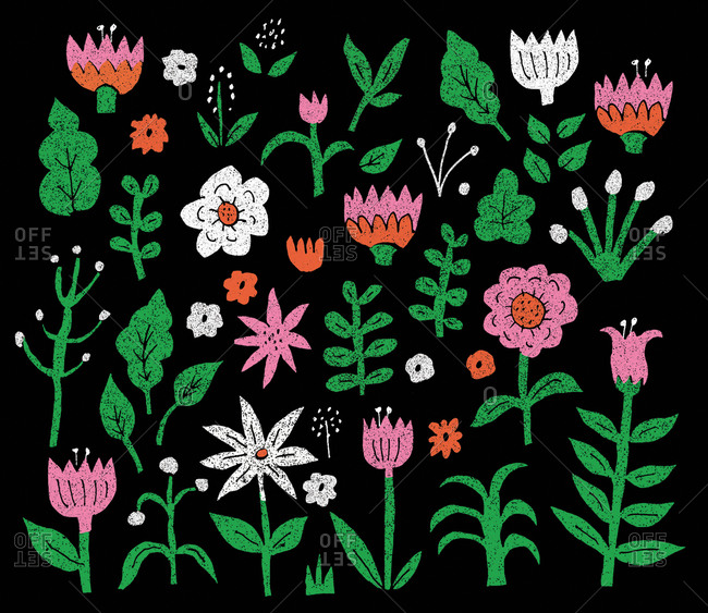 Colorful floral pattern illustration