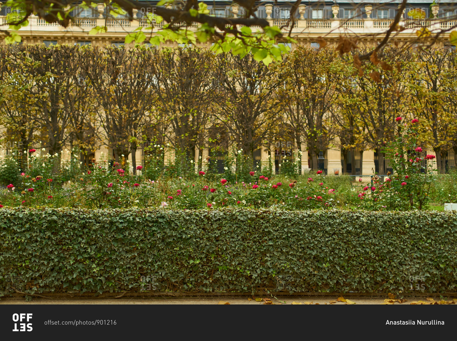 Palais Royal Garden in November