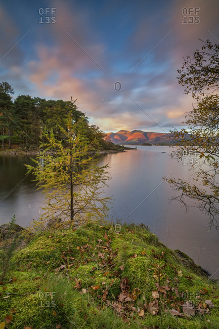 Autumn twilight over distant Lakeland Fell, Skiddaw and Derwent Water from Brandlehow Wood, Borrowdale, Lake District National Park, UNESCO World Heritage Site, Cumbria, England, United Kingdom, Europe