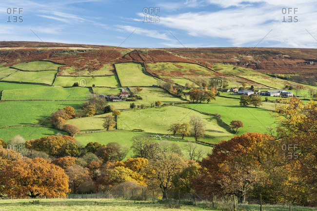 Autumn sunlight over green fields and deciduous woodland in Farndale, The North Yorkshire Moors, Yorkshire, England, United Kingdom, Europe