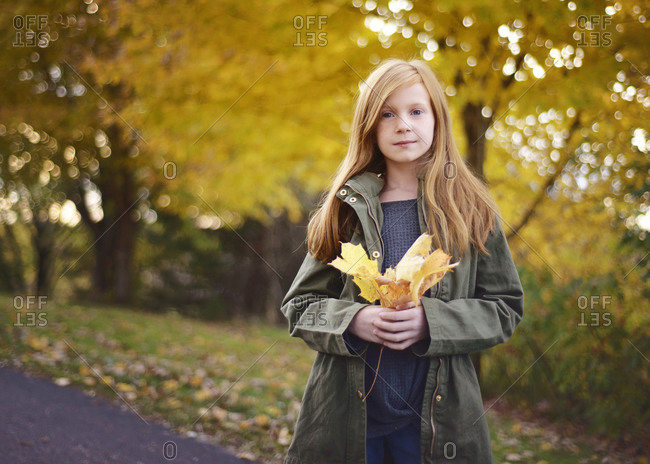 Falling Leaves Stock Photos Offset
