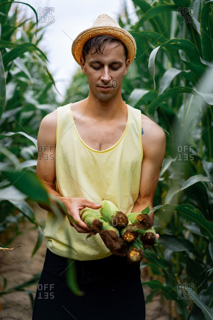 Portrait of a farm man in a hat in a green field picking up the corn.