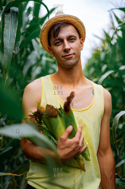 Portrait of a farm man in a hat in a green field picking up the corn.