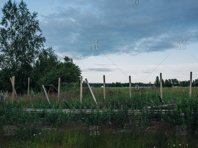 Posts in a field in Northern Sweden