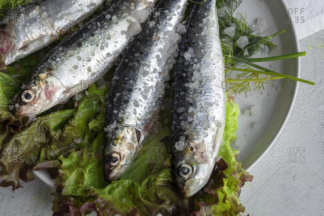 From above prepared savory mackerel served on leaves of salad with pieces of sea salt on plate on white background