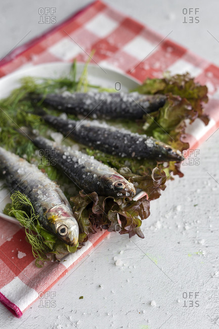 From above prepared savory mackerel served on leaves of salad with pieces of sea salt on plate on white background