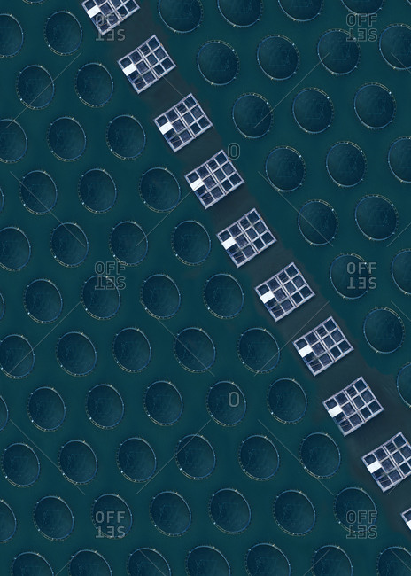 Aerial view of straight line of lobster farm cages stretching between fish farm nets