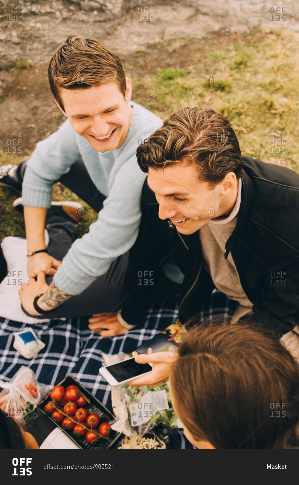 High angle view of male friends talking while sitting on picnic blanket