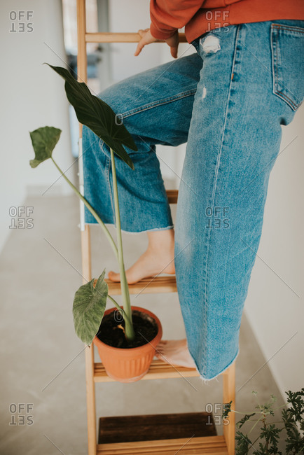 Woman standing with a potted plant on a ladder