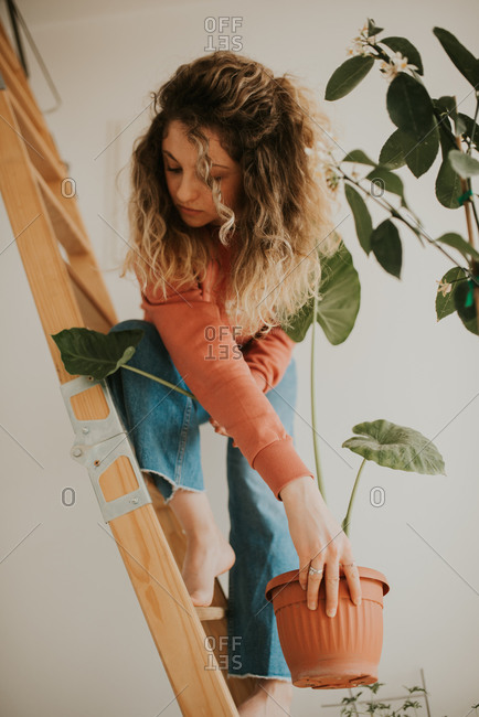 Blonde woman with curly hair climbing on a ladder with a potted plant