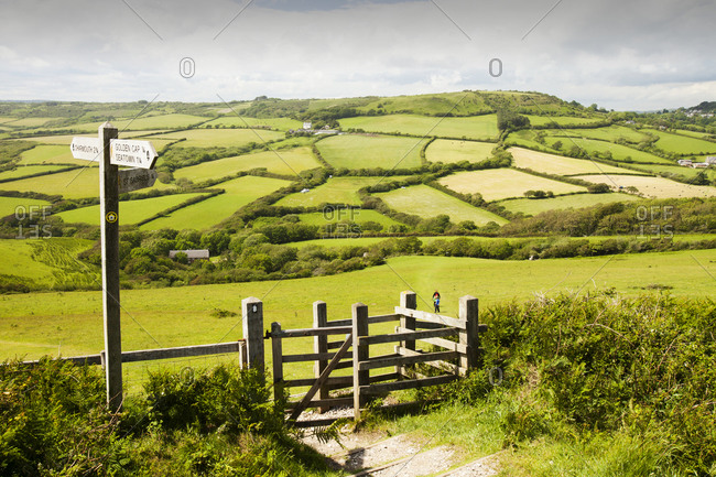 A section of the South West Coast Path near Charmouth in Dorset, UK, with typical Dorset rolling countryside.