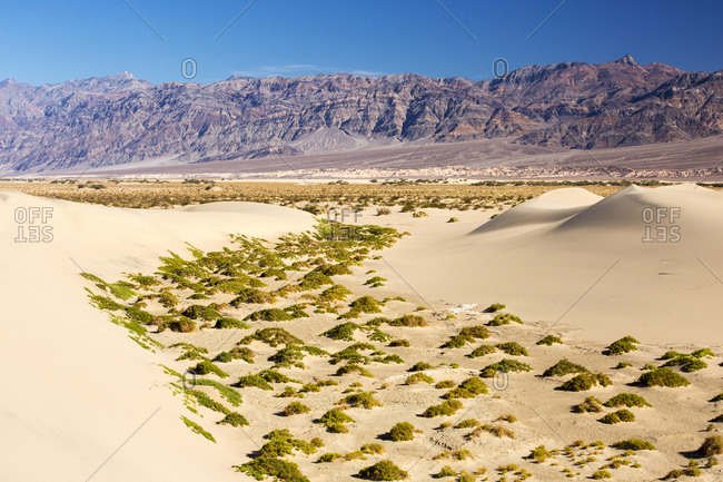 The Mesquite flat sand dunes in Death Valley