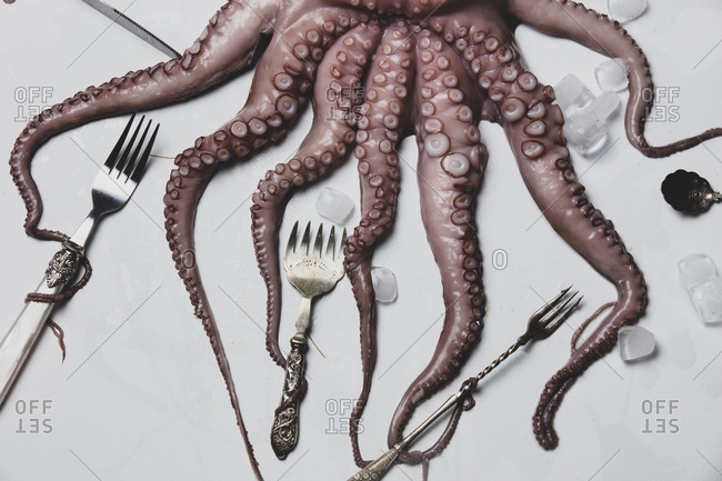 octopus holds forks with tentacles on a table