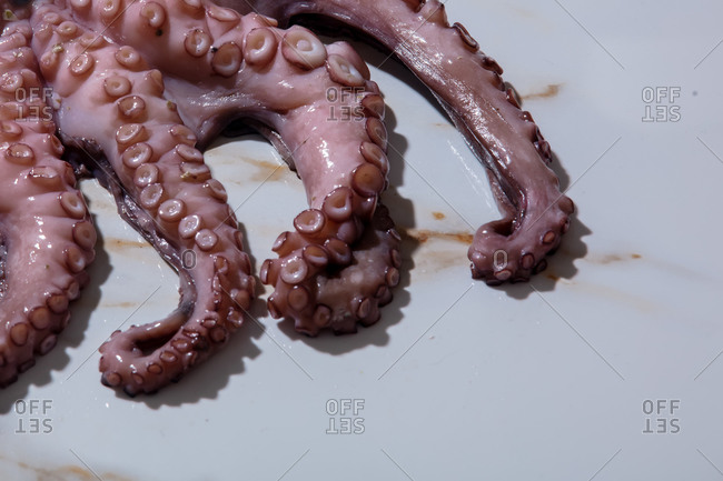 Closeup view on octopus tentacles
