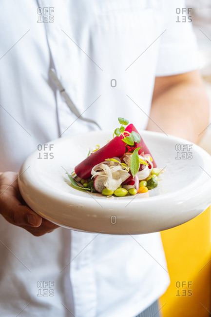 Cropped unrecognizable person holding plate with small portion of palatable vegetable salad