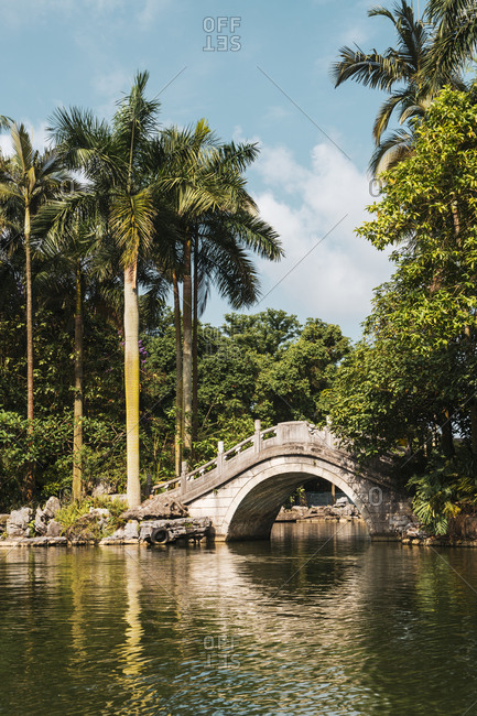 Beautiful landscape of pond and stone bridge above with palms and exotic vegetation in sunlight, Qingxiu Mountain, China