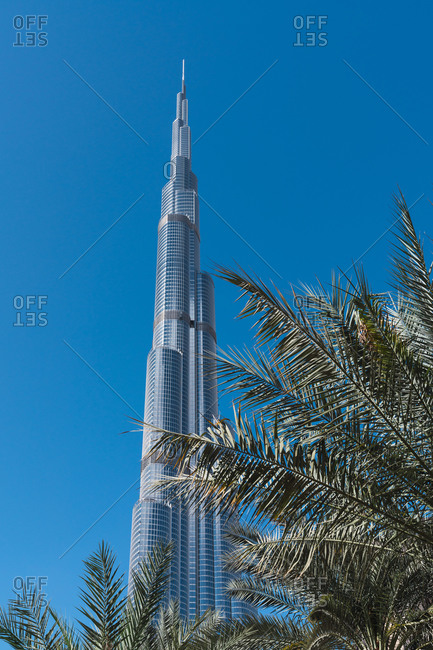 February 26, 2019: February 26, 2019: Leaves of exotic palms near wonderful skyscraper against cloudless blue sky on sunny day on street of Dubai