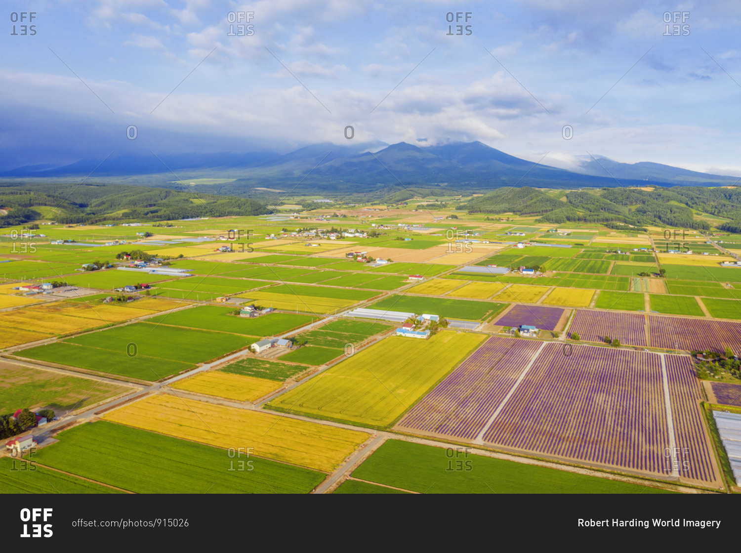 Aerial view of farmland, Furano, Hokkaido, Japan, Asia