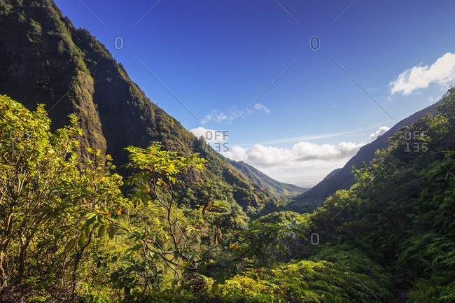 Iao Needle State Park, Maui Island, Hawaii, United States of America, North America