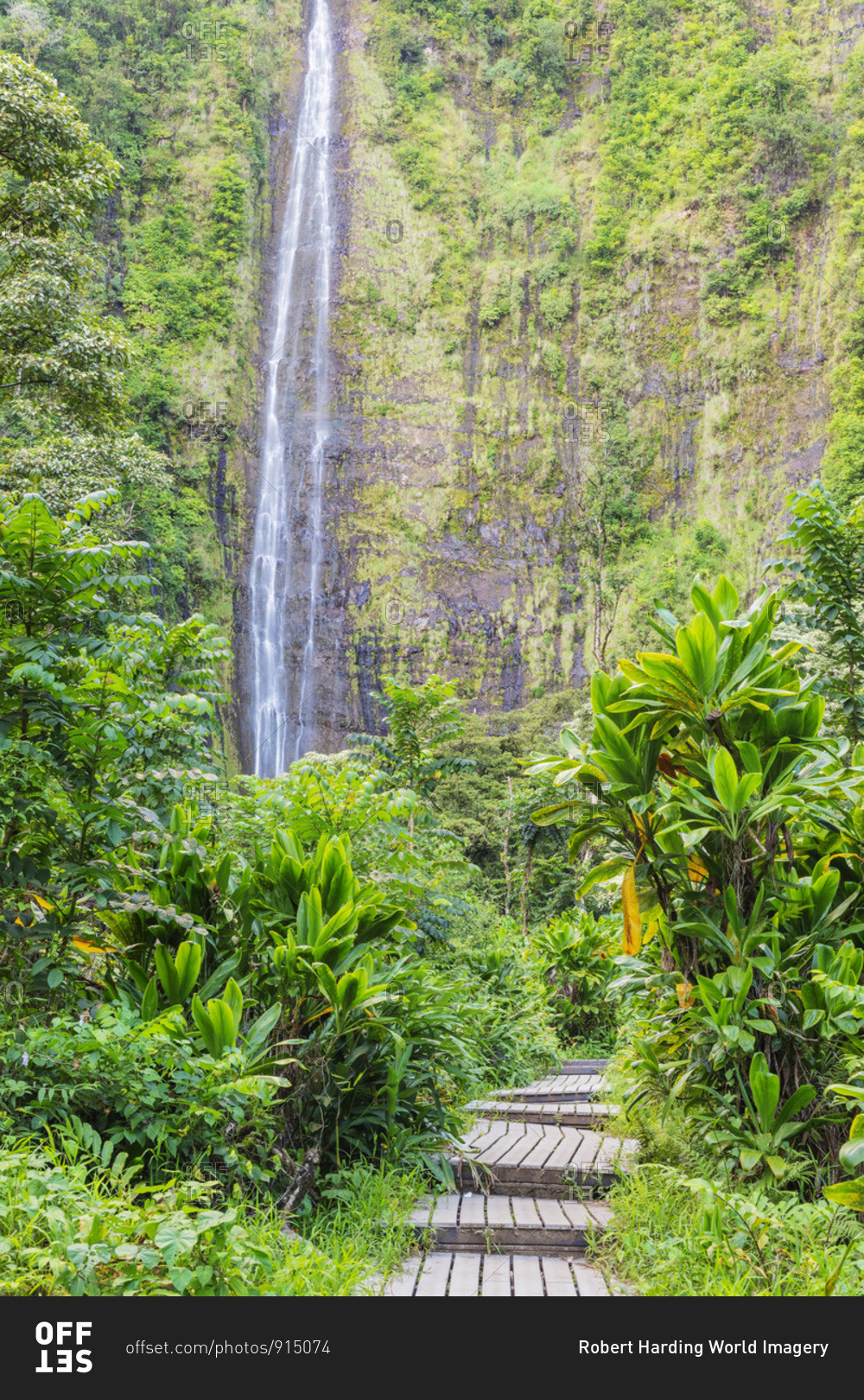 Pipiwai trail, Waimoku falls, Haleakala National Park, Maui Island, Hawaii, United States of America, North America
