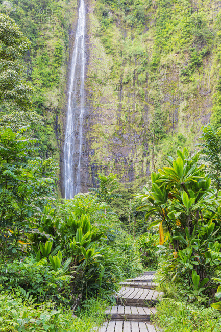 Pipiwai trail, Waimoku falls, Haleakala National Park, Maui Island, Hawaii, United States of America, North America