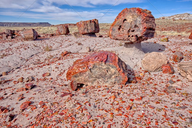 Shattered pieces of petrified wood in a sandy wash in the Jasper Forest of Petrified Forest National Park, Arizona, United States of America, North America