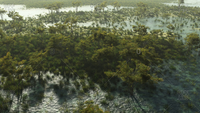Digitally created image of green trees in water