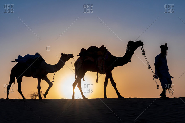 Silhouette of a man walking with his camels, Thar desert, Rajasthan, India, Asia