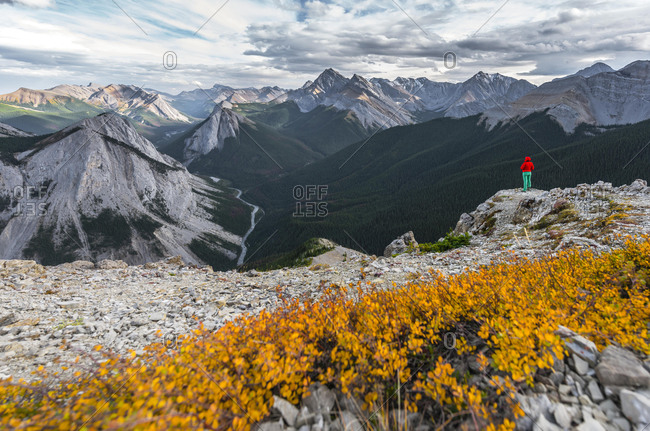Female hiker on top of the Sulphur Skyline Trail with panoramic view over Nikassin Range near Miette Hot Springs, Jasper National Park, British Columbia, Canada, North America