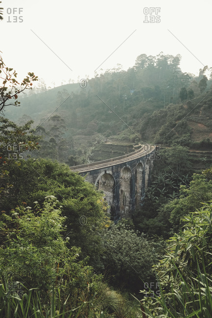 Exotic rainforest around ancient big bridge