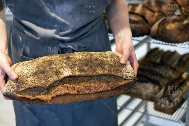 High angle close up of person holding freshly baked loaf of bread in an artisan bakery.