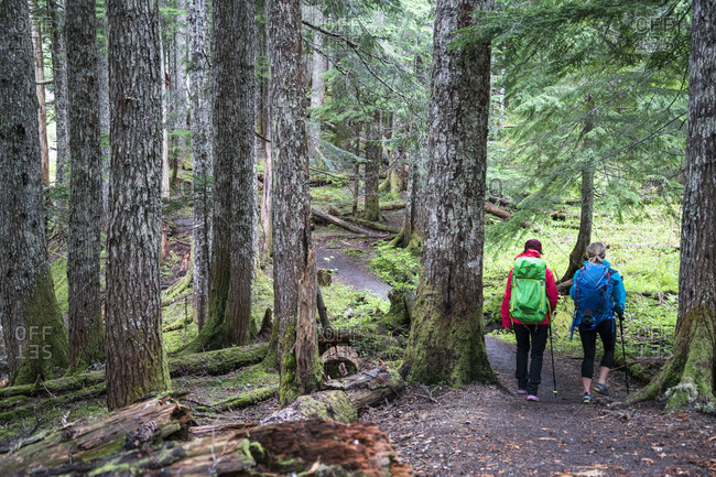 Two female hikers on a trail in the Mt. Baker Wilderness